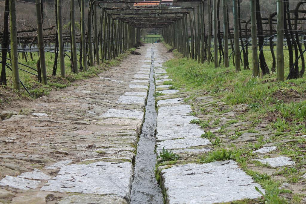 Quinta Da Eira Do Sol Villa Guimarães Dış mekan fotoğraf
